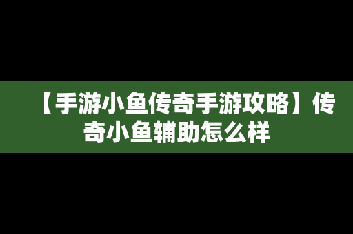 【手游小鱼传奇手游攻略】传奇小鱼辅助怎么样