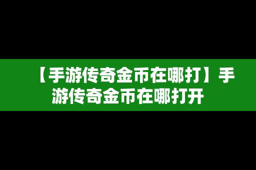 【手游传奇金币在哪打】手游传奇金币在哪打开