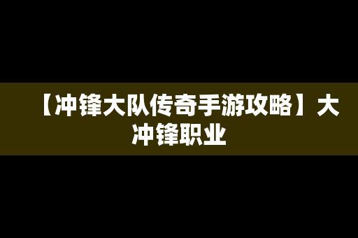 【冲锋大队传奇手游攻略】大冲锋职业