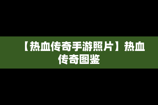 【热血传奇手游照片】热血传奇图鉴