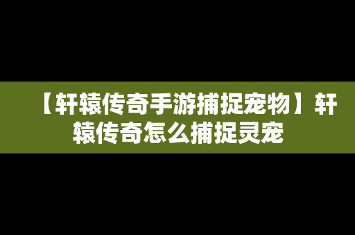 【轩辕传奇手游捕捉宠物】轩辕传奇怎么捕捉灵宠