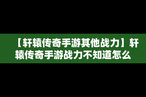 【轩辕传奇手游其他战力】轩辕传奇手游战力不知道怎么掉了,怎么查询掉的战力