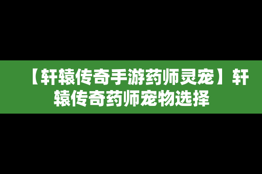 【轩辕传奇手游药师灵宠】轩辕传奇药师宠物选择