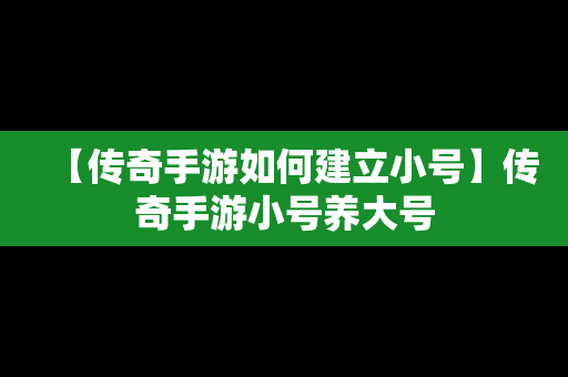 【传奇手游如何建立小号】传奇手游小号养大号