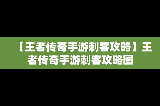 【王者传奇手游刺客攻略】王者传奇手游刺客攻略图