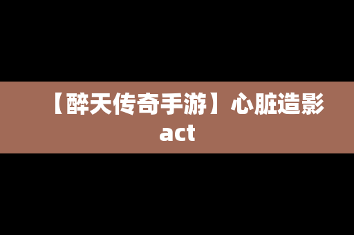 【醉天传奇手游】心脏造影act