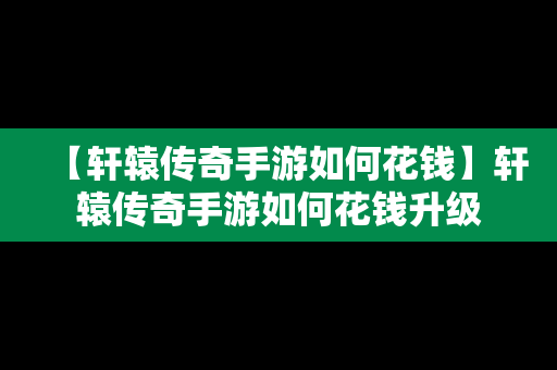 【轩辕传奇手游如何花钱】轩辕传奇手游如何花钱升级